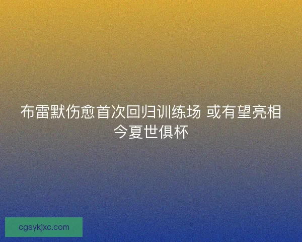 布雷默伤愈首次回归训练场 或有望亮相今夏世俱杯 布雷默伤愈首次回归训练场 或有望亮相今夏世俱杯