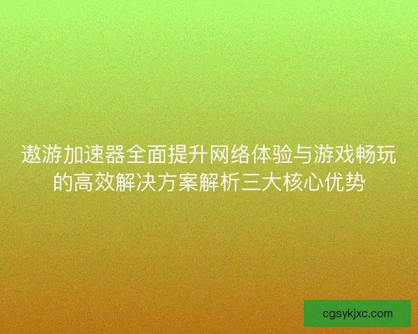遨游加速器全面提升网络体验与游戏畅玩的高效解决方案解析三大核心优势