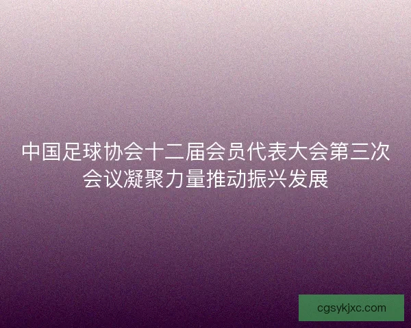 中国足球协会十二届会员代表大会第三次会议凝聚力量推动振兴发展